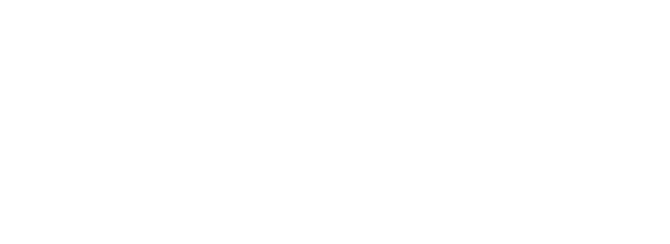 Digicat